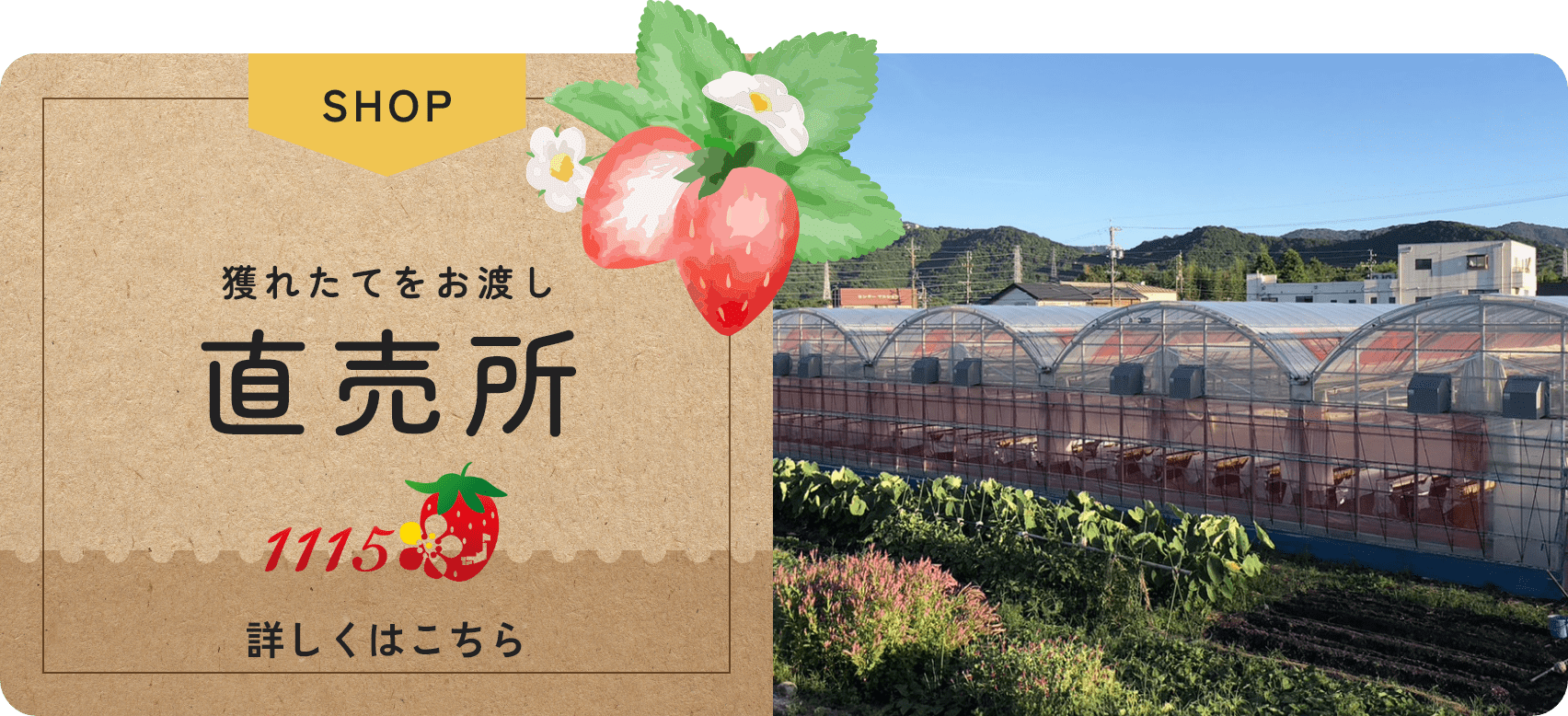 バナー：直売所