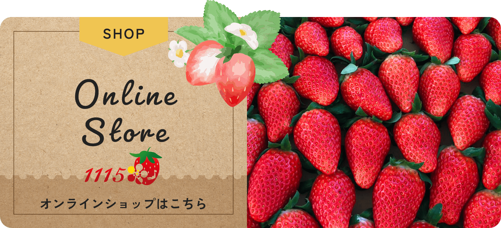 バナー：オンラインショップはこちら