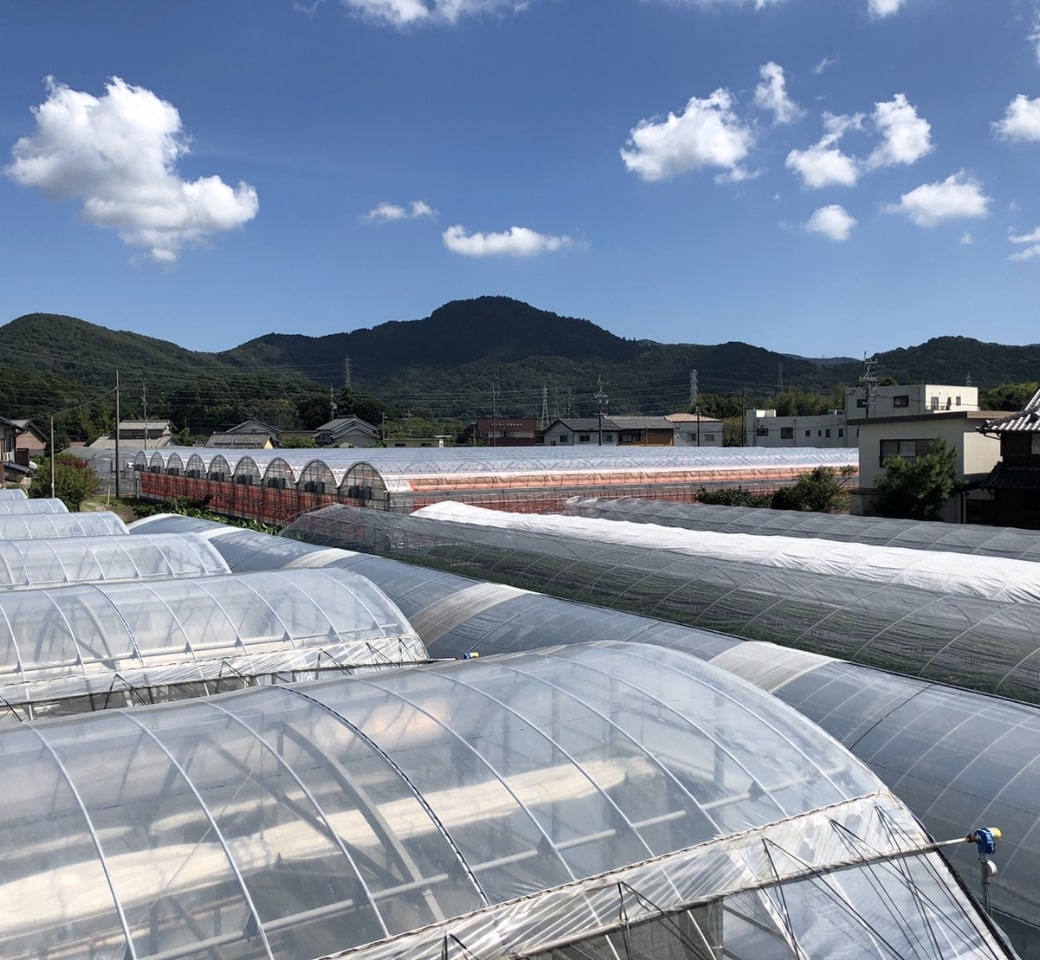 生産者紹介
